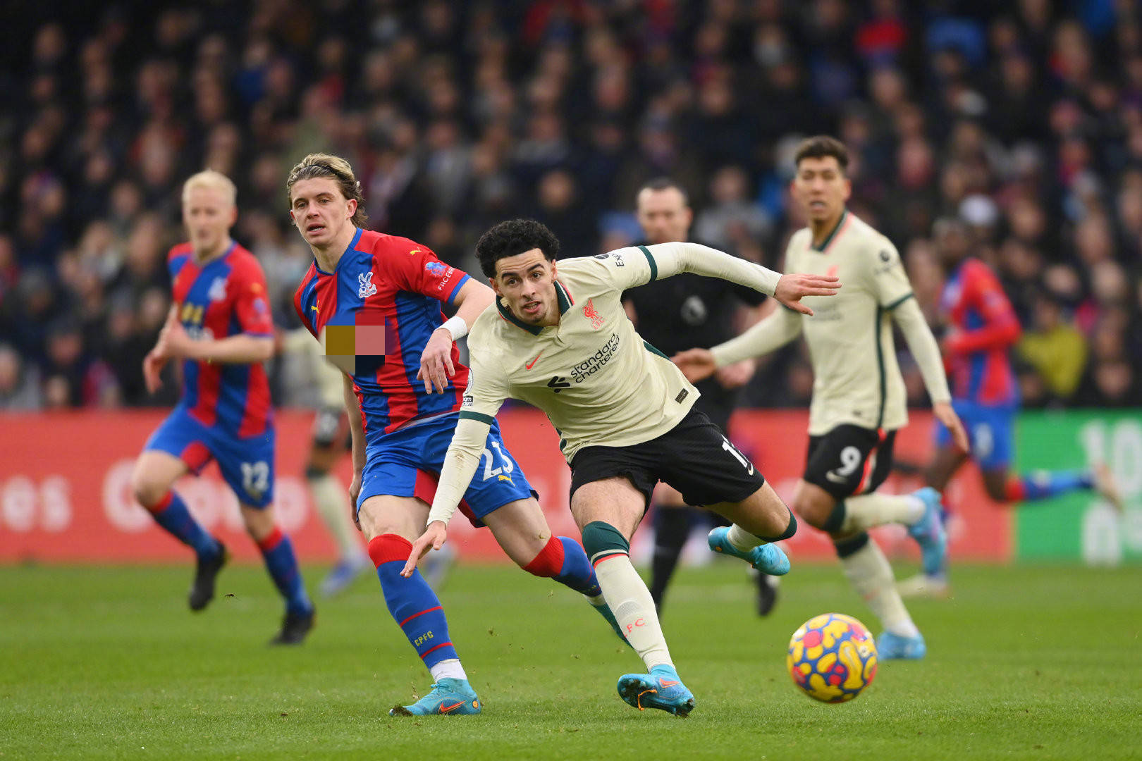 团队合作精 团队合作精